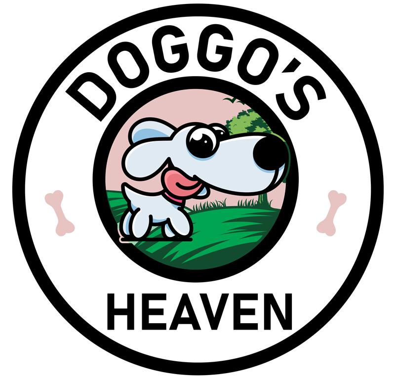 Hospital facility with dog